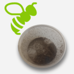 Trihogramma trauciņā