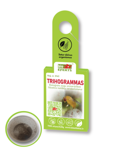 Trihogrammas ar papildus variantu