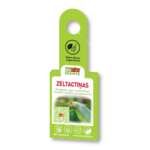 Zeltactiņas iepakojums 3d